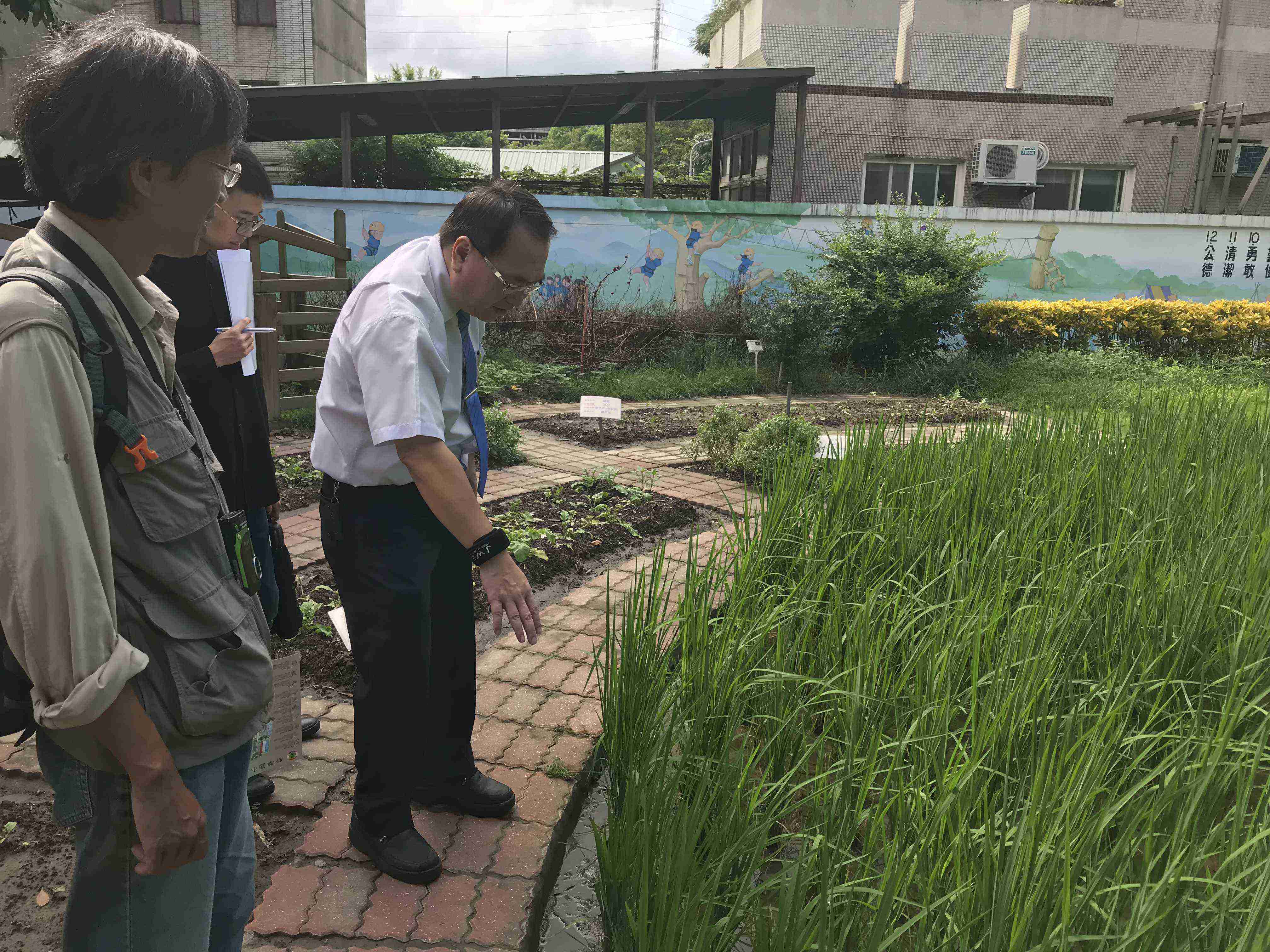 發展稻米栽種課程